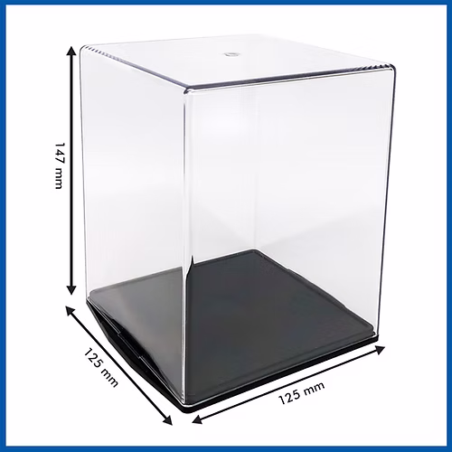 147mm by 125mm by 125mm display case