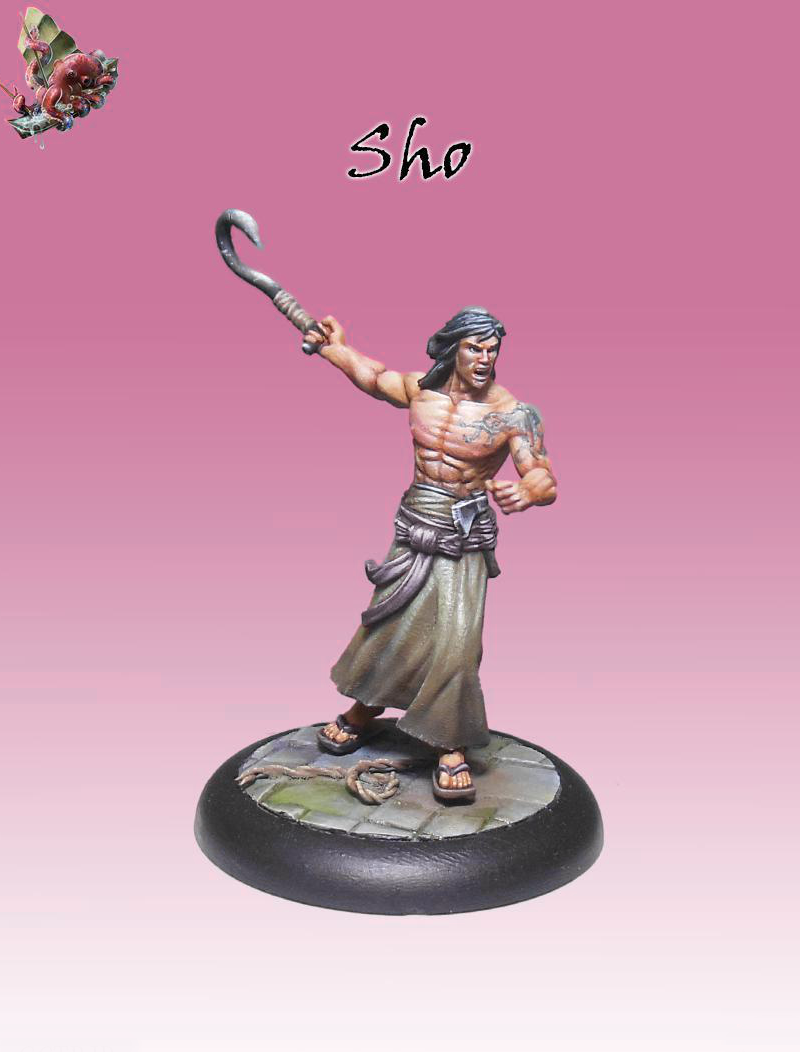 sho painted model
