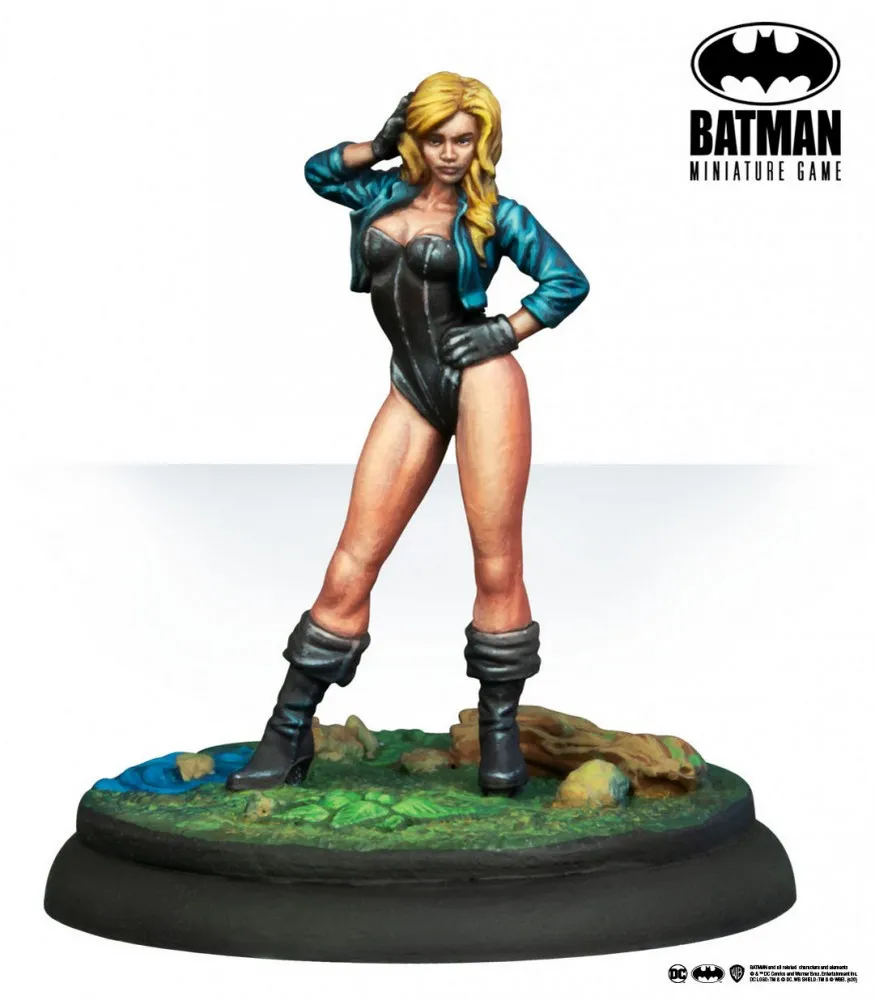 black canary painted model