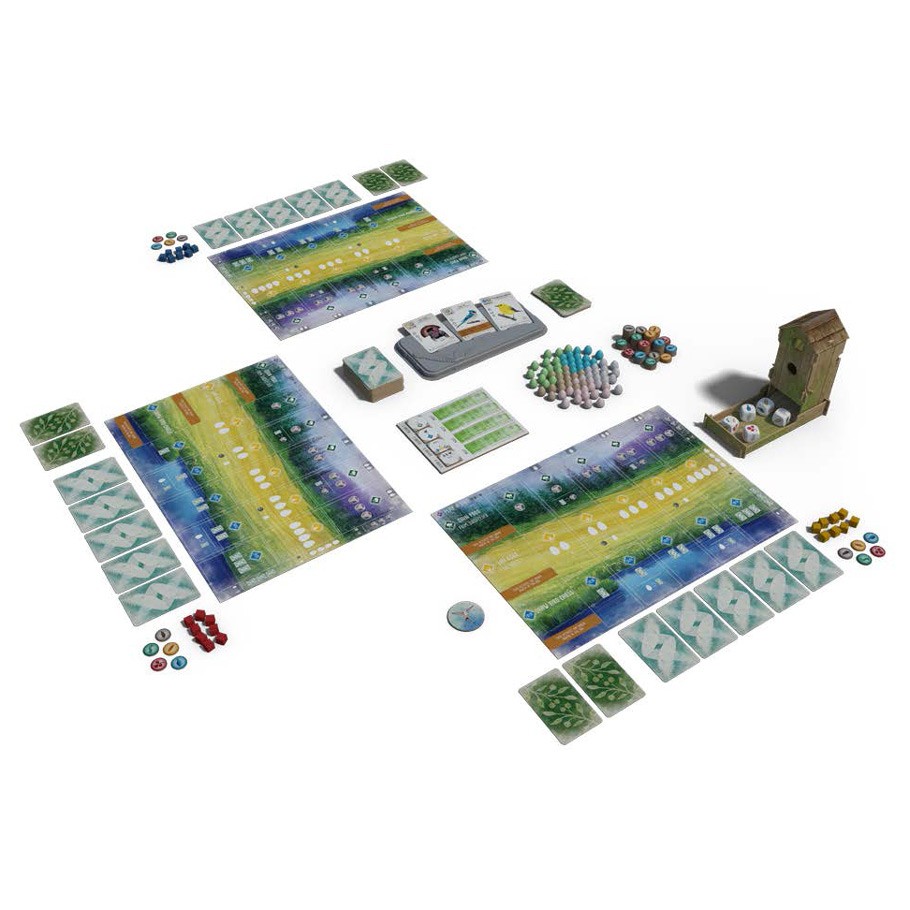 Layout of Wingspan Game Set Up