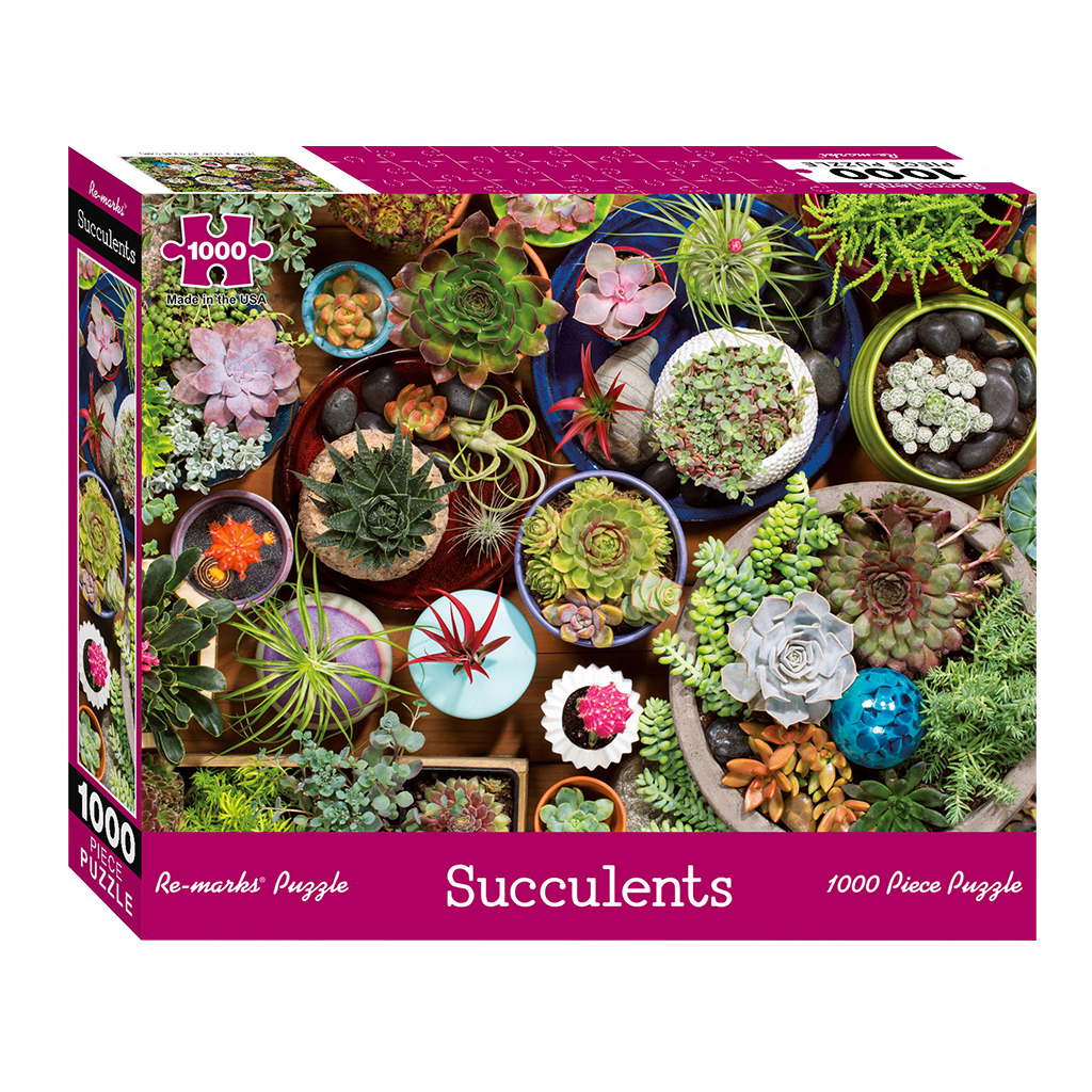 succulents puzzle box