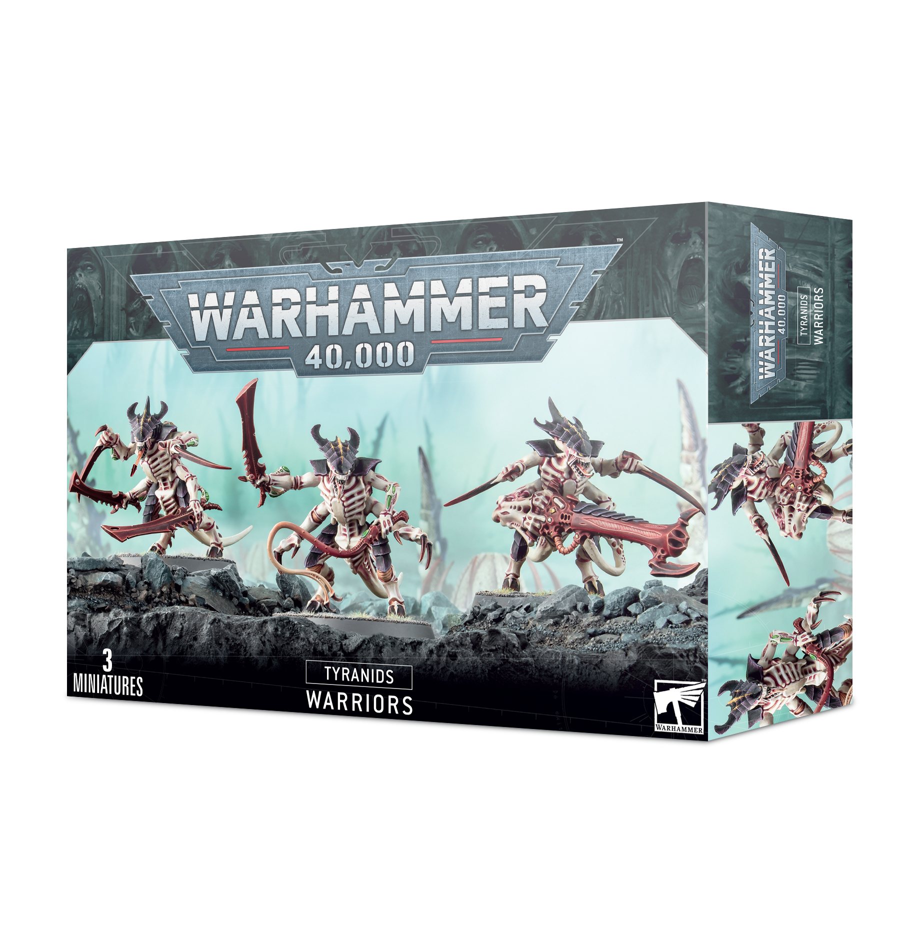 warriors box