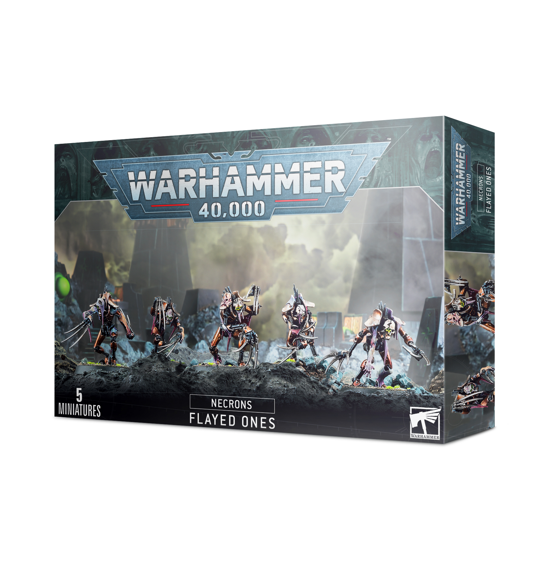flayed ones box