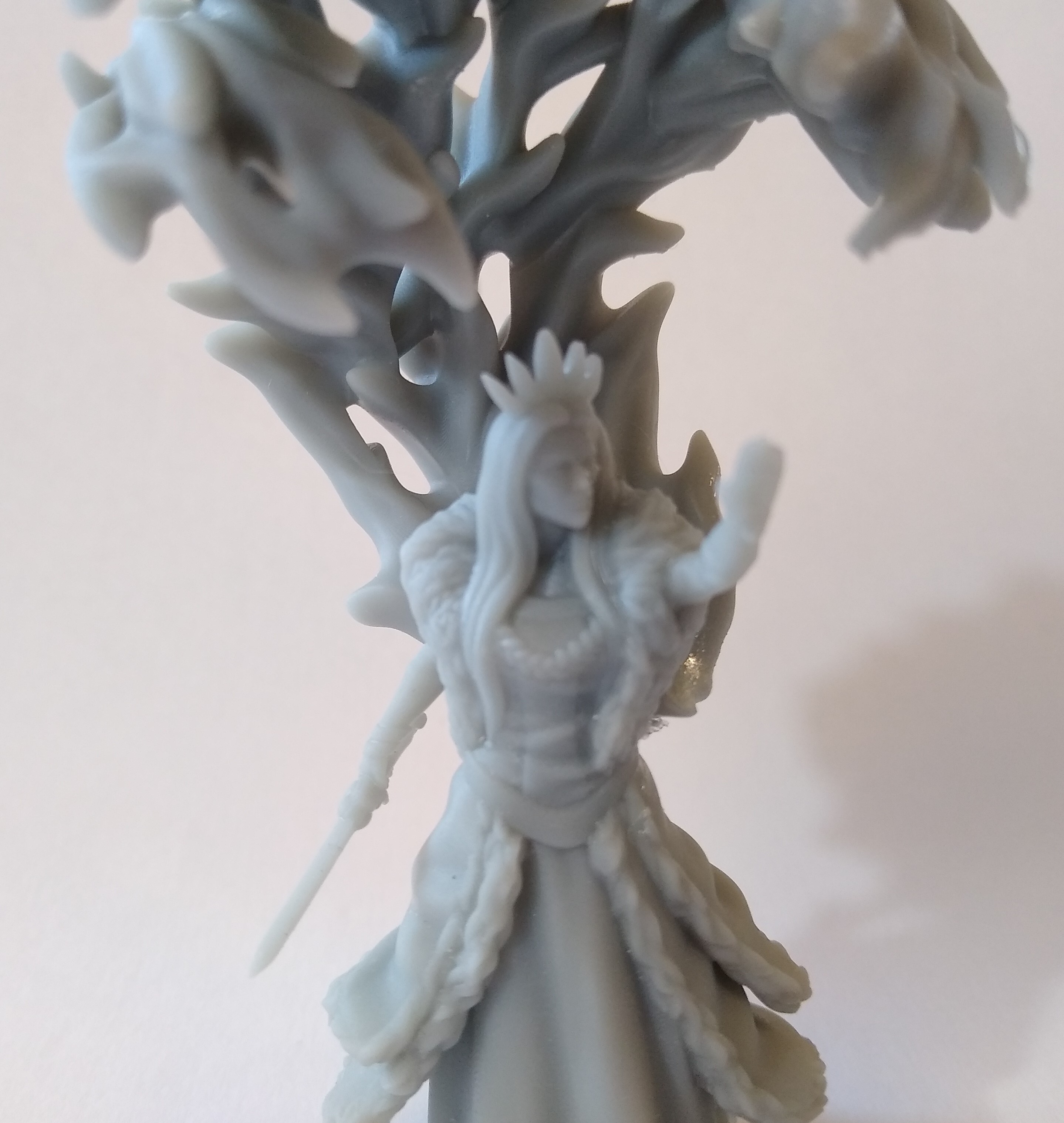 Print of Hel Close Up View