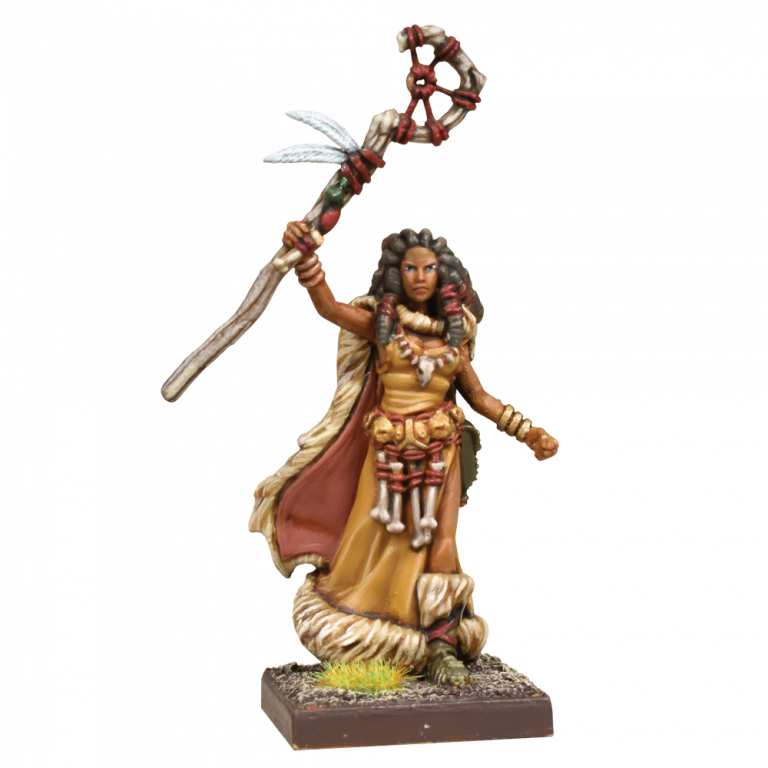 druid painted model