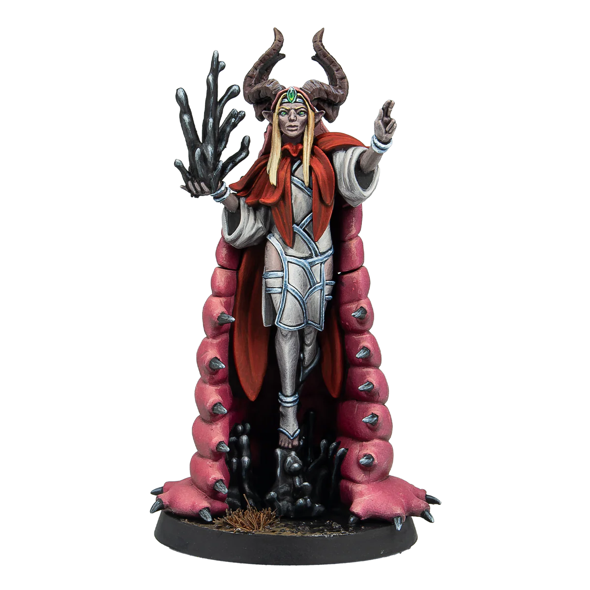 elven mage with a cloak made out of giant bug painted miniature