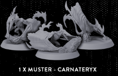 carnateryx models