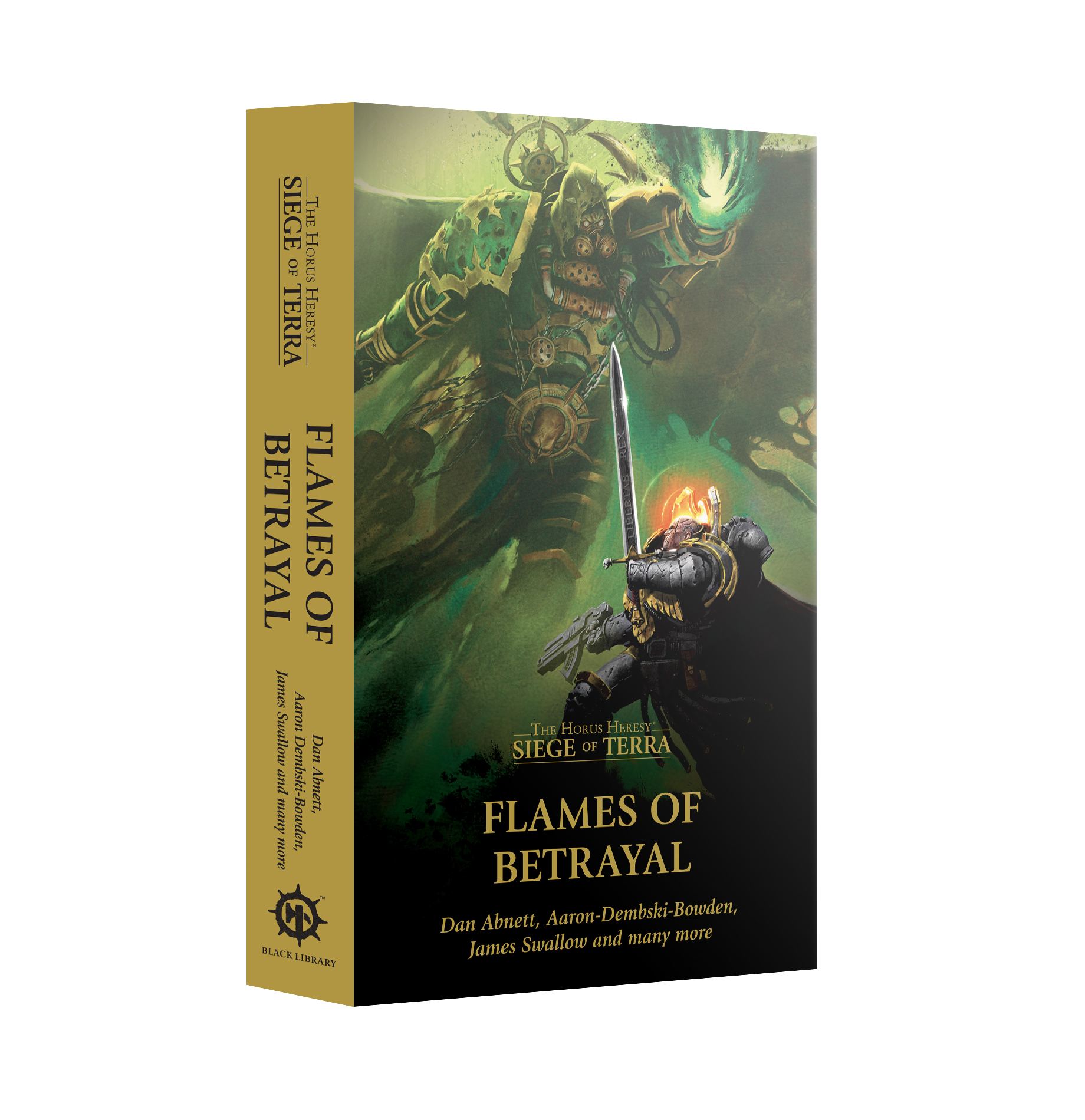 flame of betrayal book cover