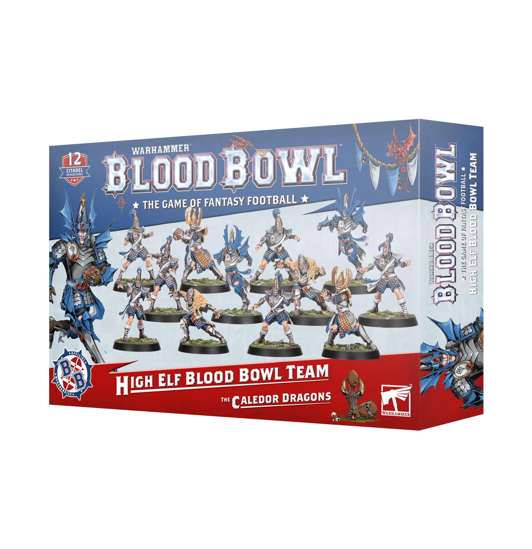 high elf blood bowl team front of box