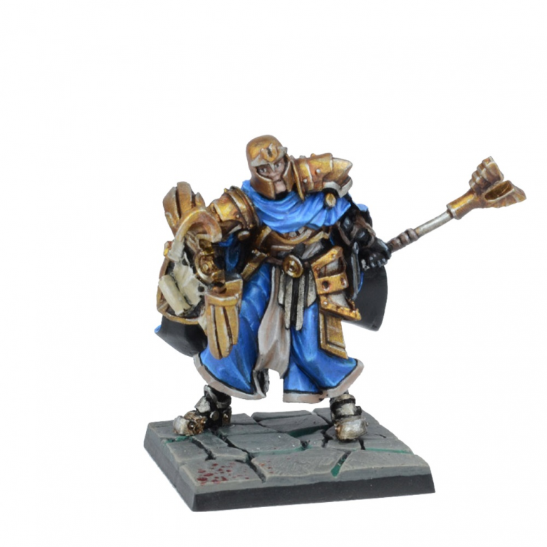high paladin painted model