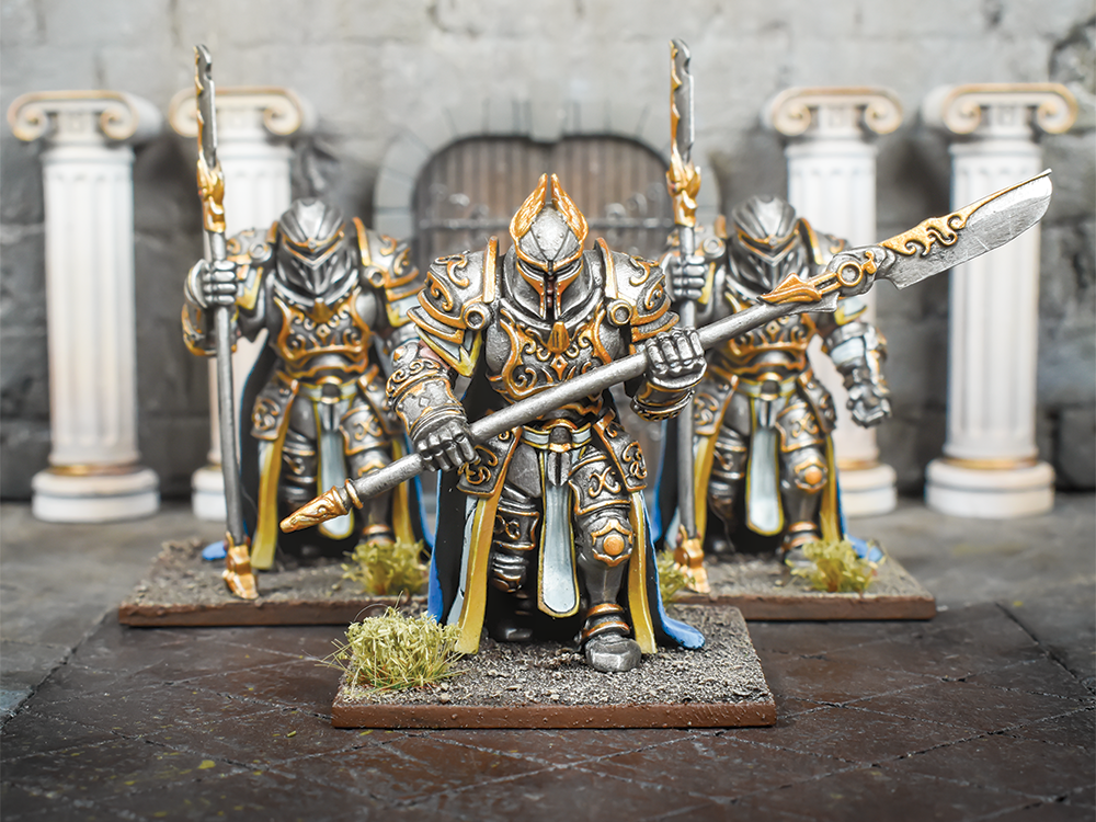 ogre palace guard regiment painted models