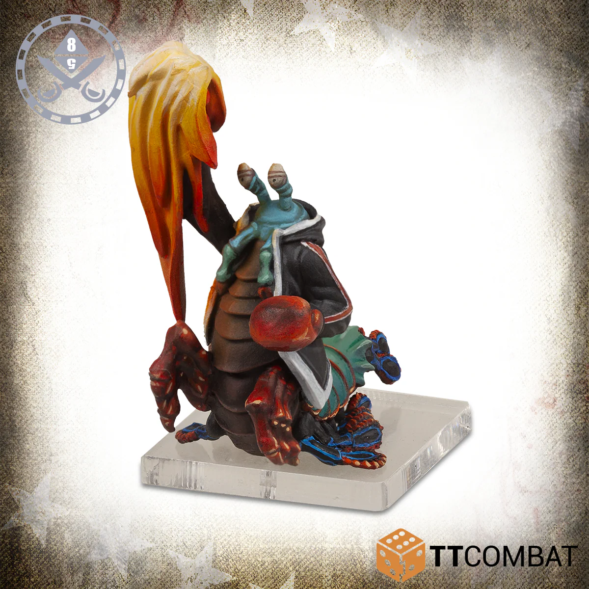 painted mantis shrimp boxer