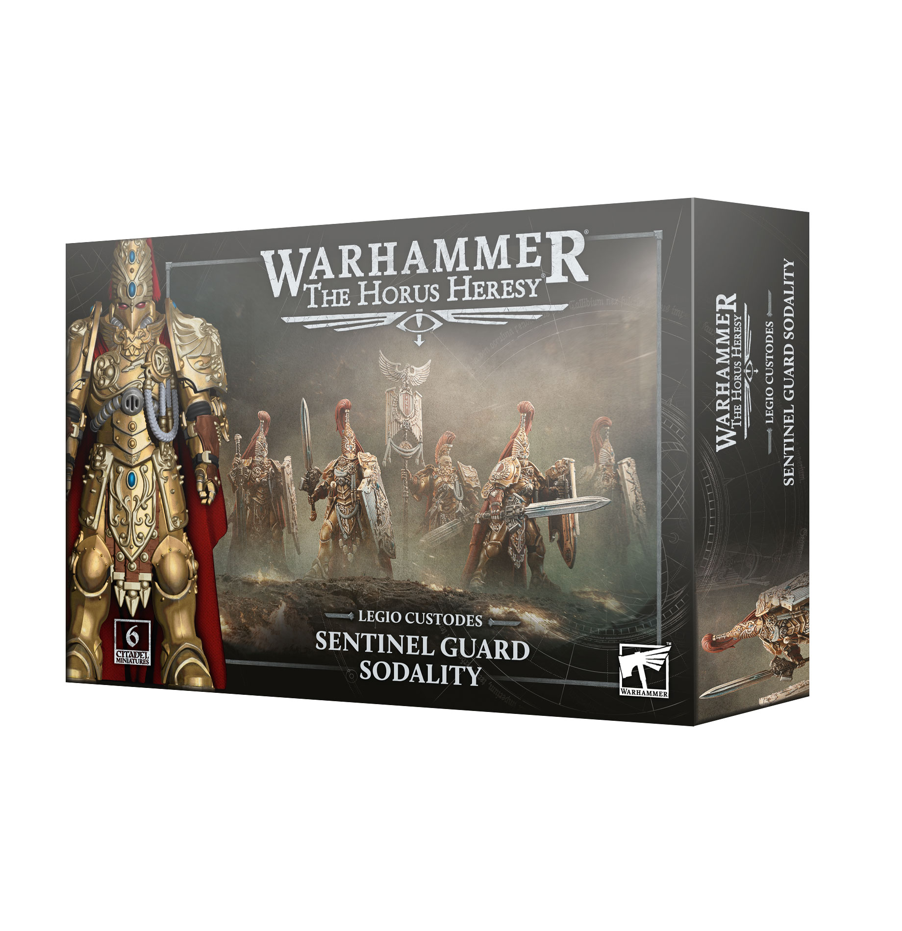 sentinel guard sodality front of box