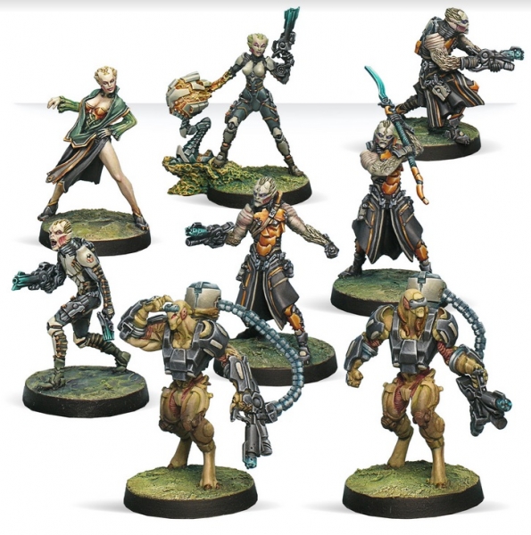 tohaa combat force alpha painted models