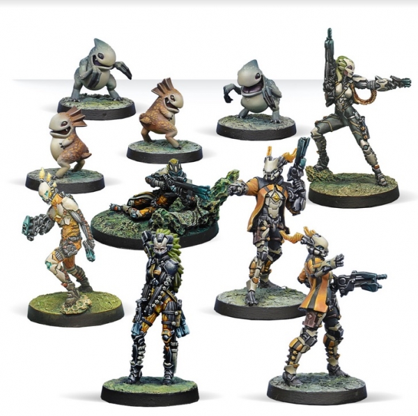 tohaa combat force beta painted models