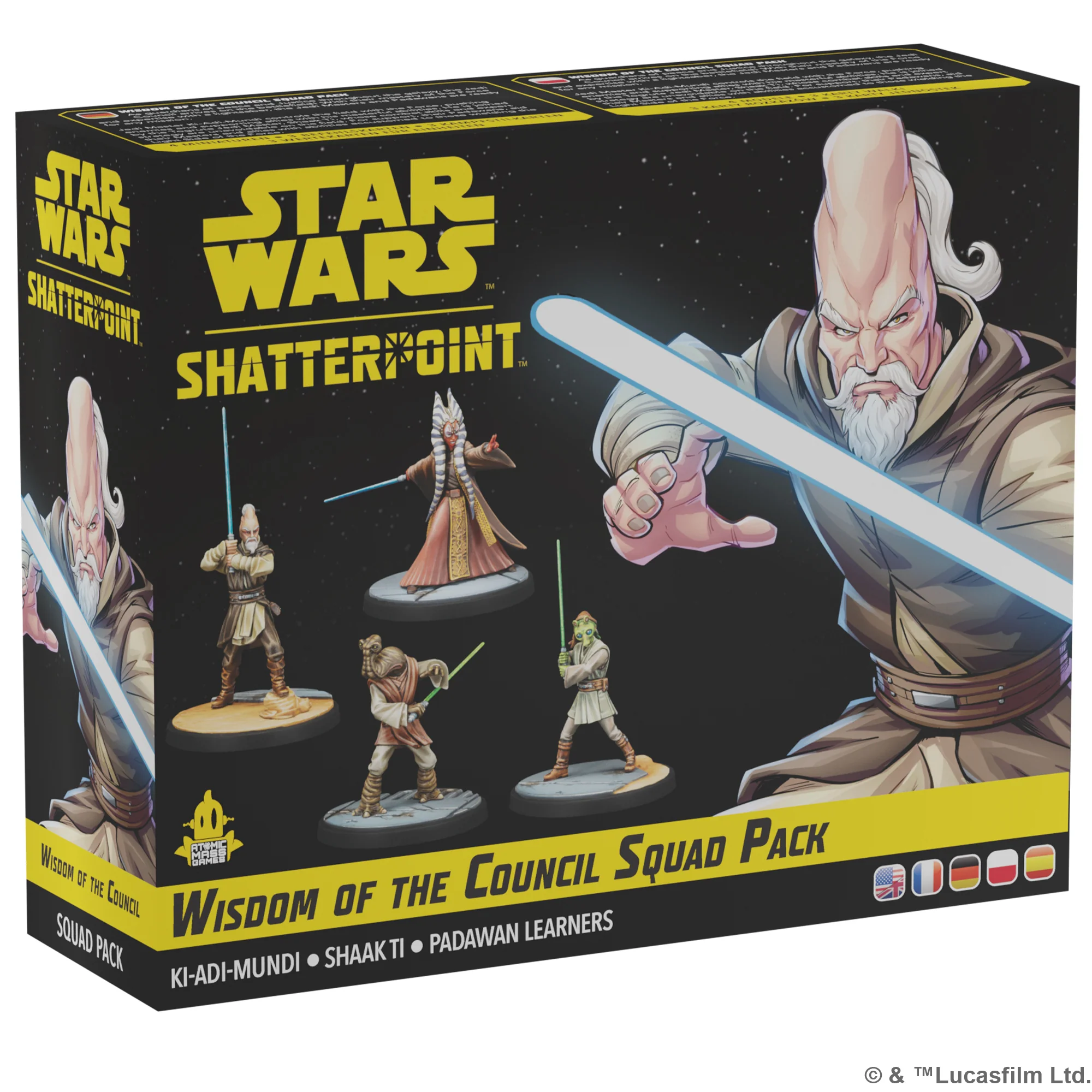wisdom of the council box