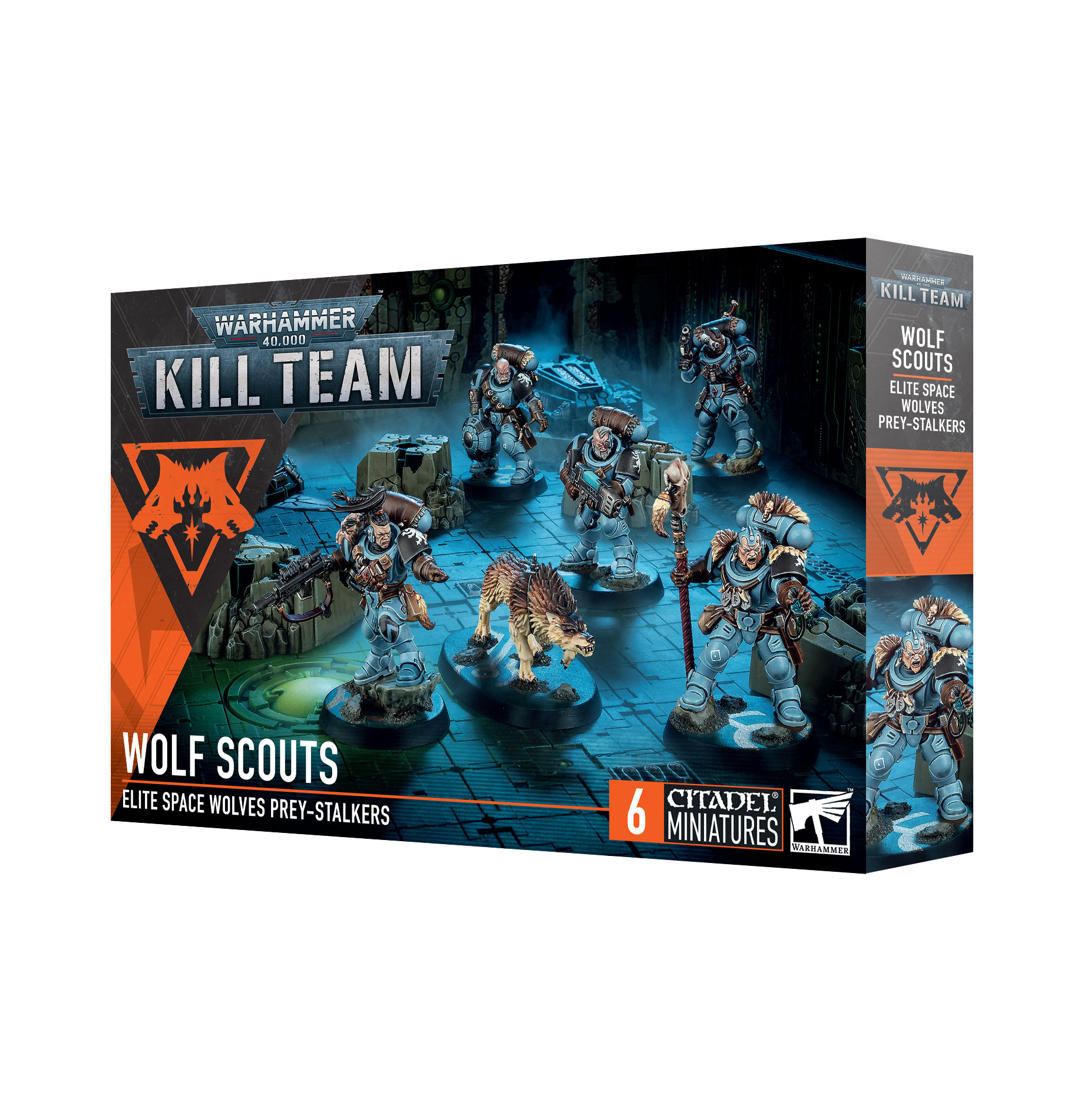 wolf scouts front of box